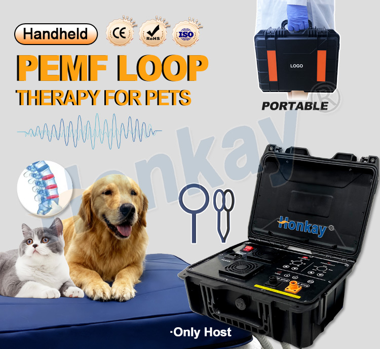 Perangkat Perawatan Hewan Peli - Health With Wellness ulasan dan harga