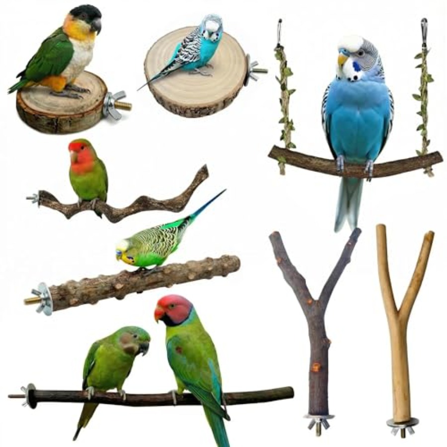 8PCS tempat bertengger burung  - Health & Wellness Urgent Care ulasan dan harga