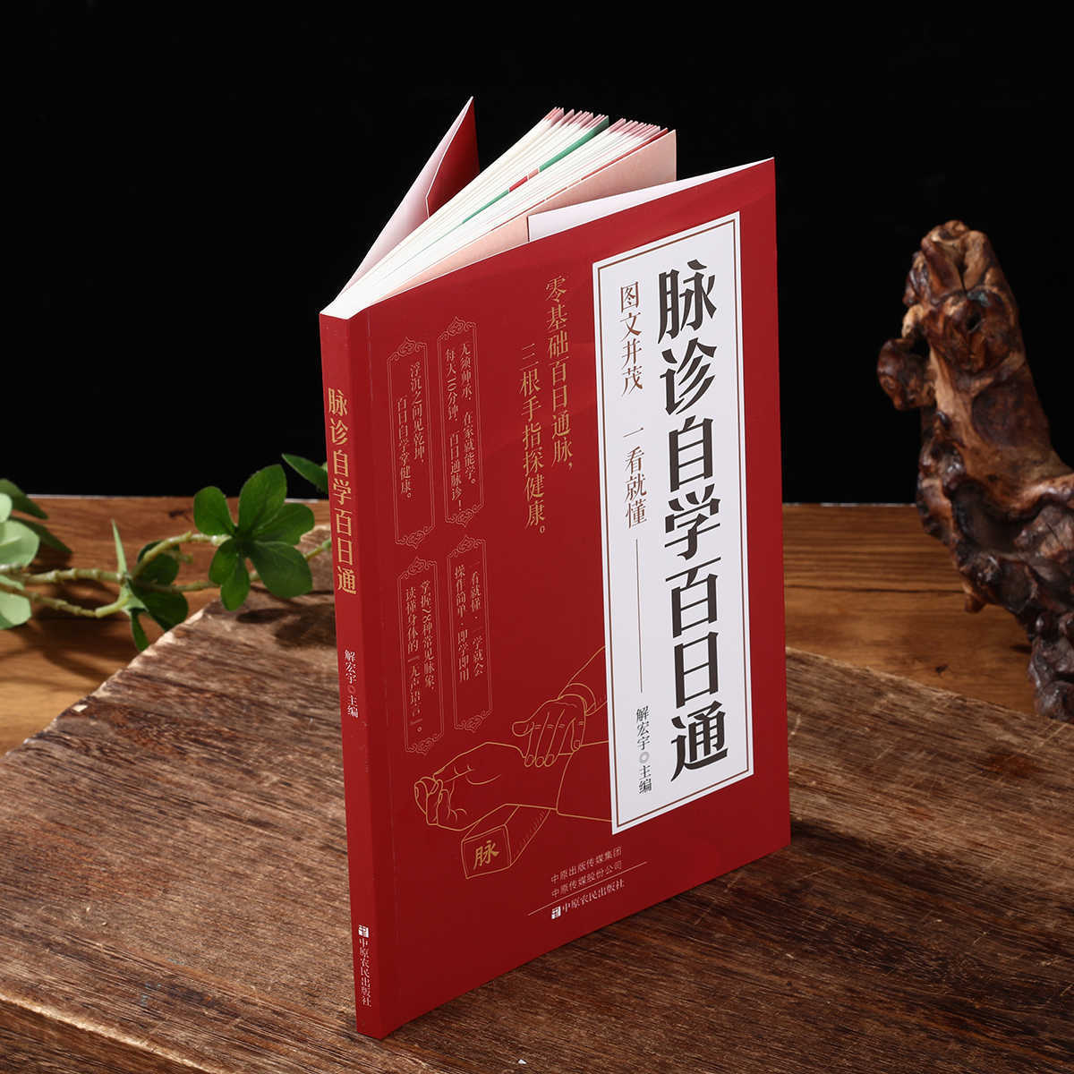 Buku Kesehatan Belajar Mandiri - Health & Wellness Urgent Care ulasan dan harga